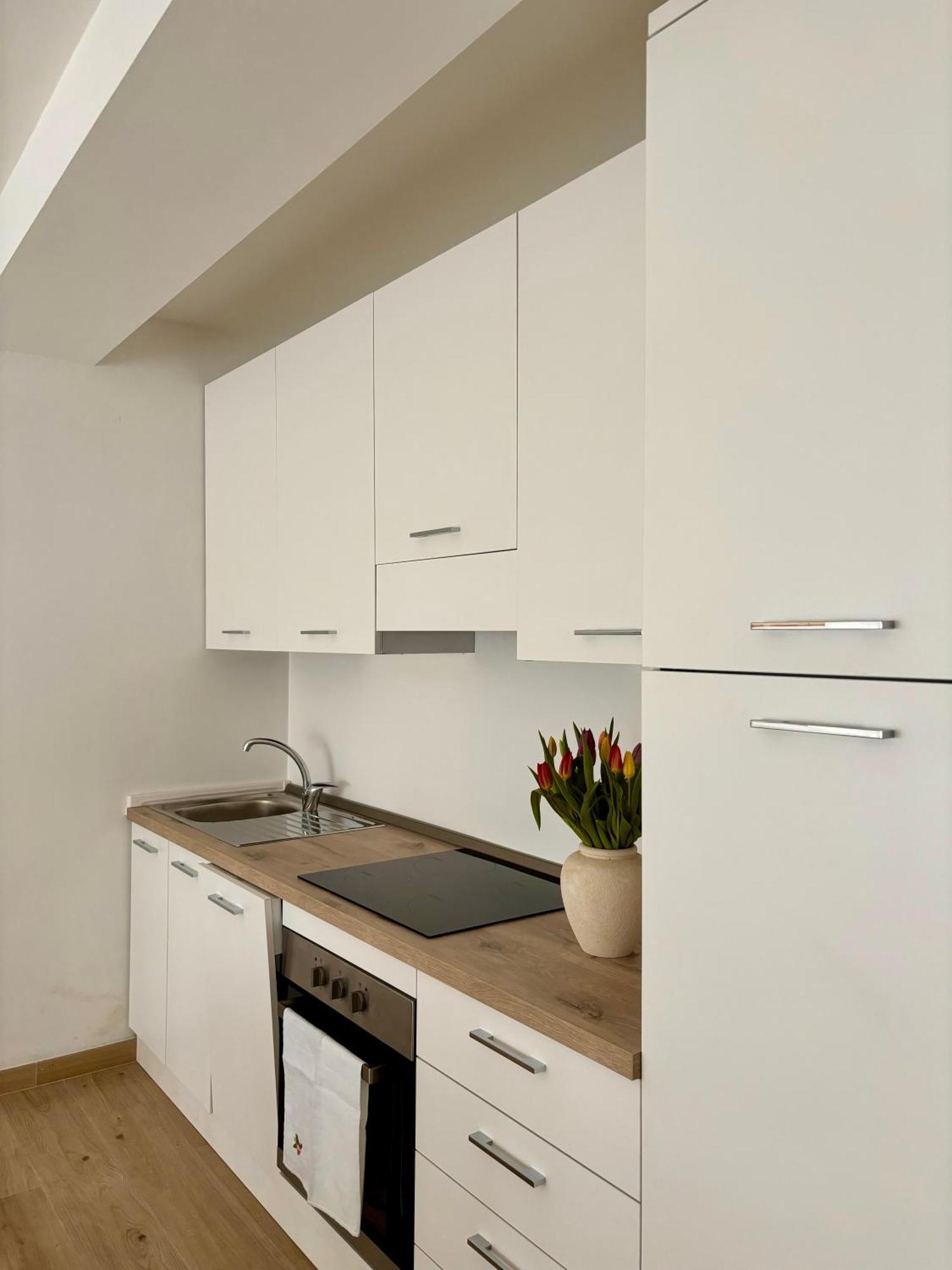 Tati&Ele Apartments Sedico Екстер'єр фото